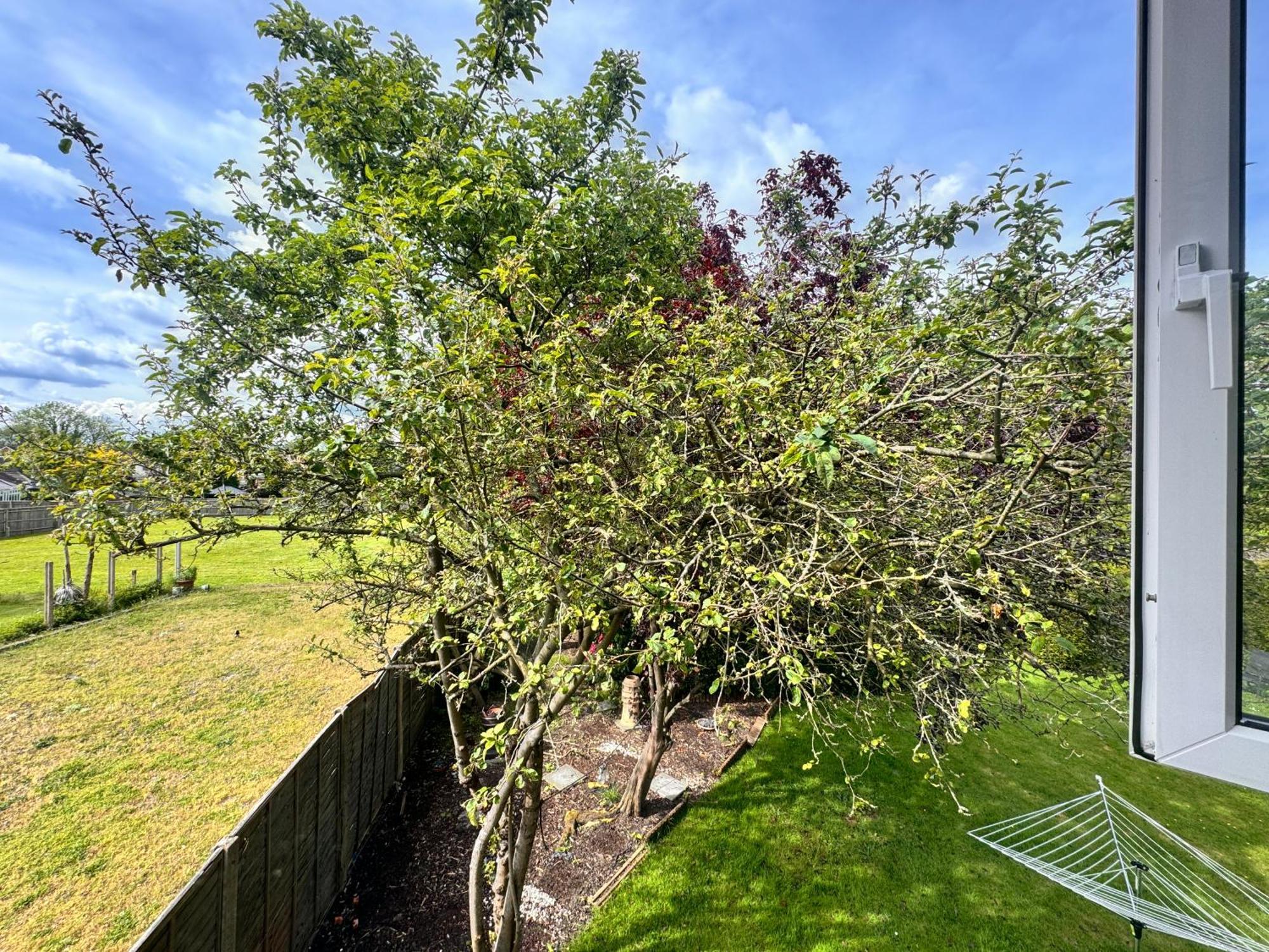 High Trees Guest House Gatwick Horley Buitenkant foto